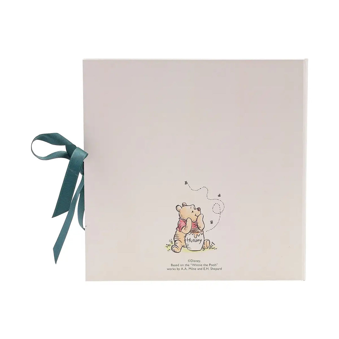 Disney Winnie the Pooh First Year Record Book Back Cover Picture