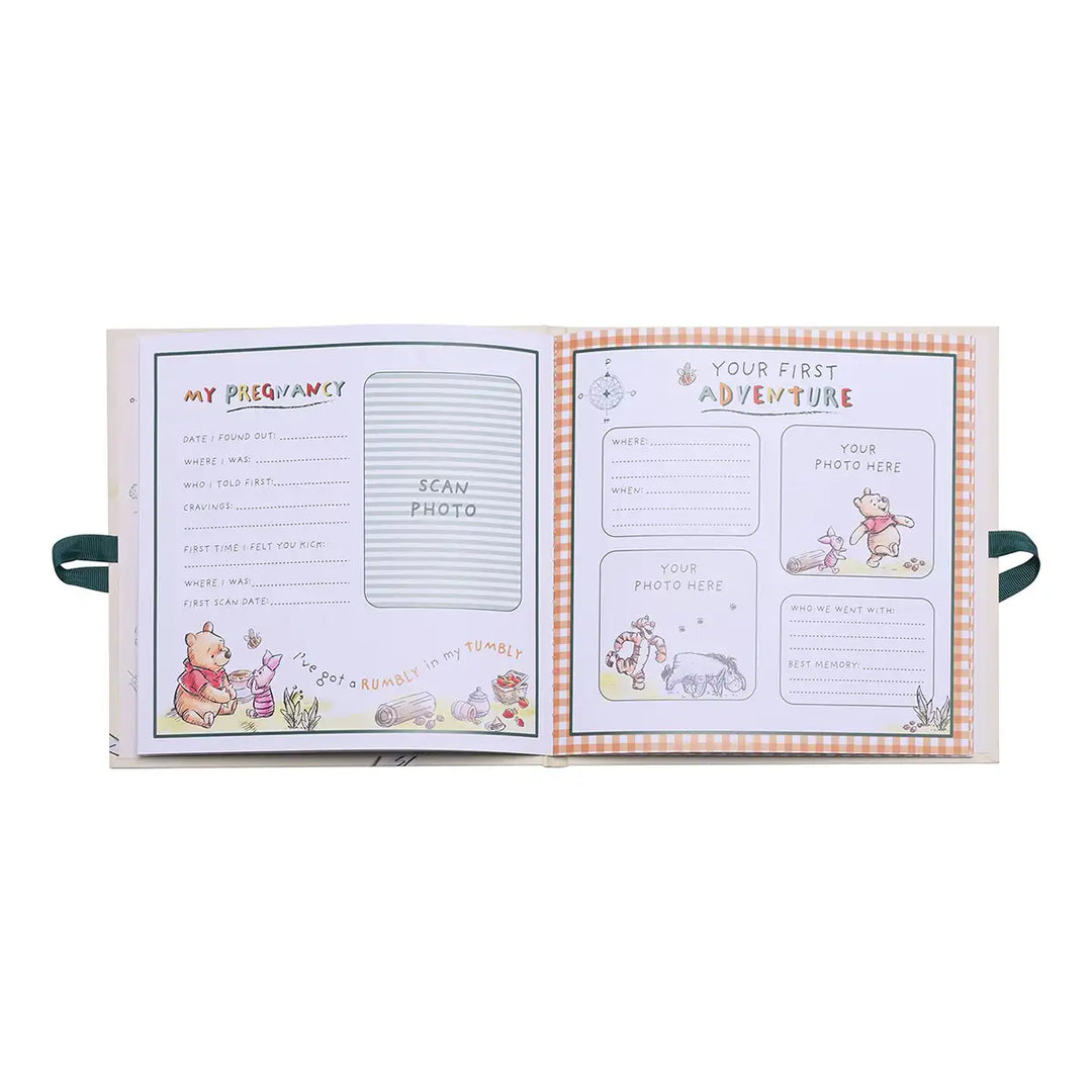 Disney Winnie the Pooh First Year Record Book Inside Picture