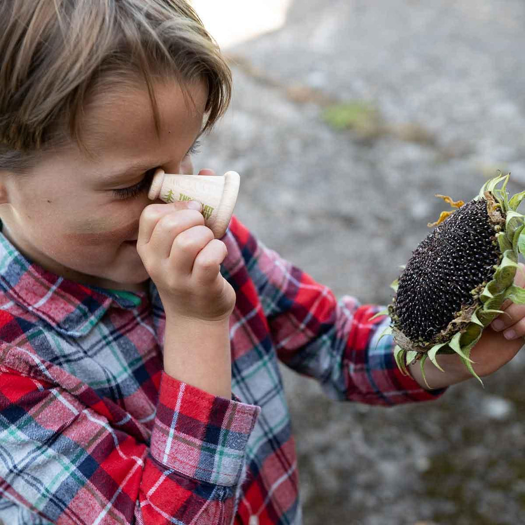 The Den Kit Company The Patterns in Nature Mini Activity Kit Being Used